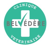 Clinique Vétérinaire Belvédère